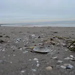 Appartement Strandlaeufer Mit Suedbalkon By Unsere Urlaubszeit