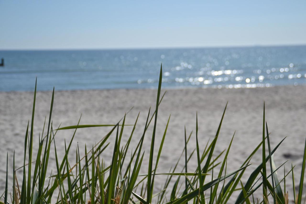 Strandlaeufer Mit Suedbalkon By Unsere Urlaubszeit Binz